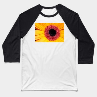 Yellow Gerbera with raindrops Baseball T-Shirt